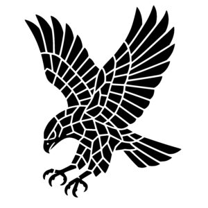 Dynamic Hawk Flight
