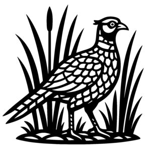 Curvy Quail in Grass