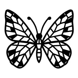 Geometric Butterfly Wonder
