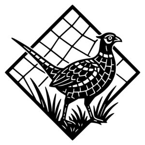 Pheasant in Patterns
