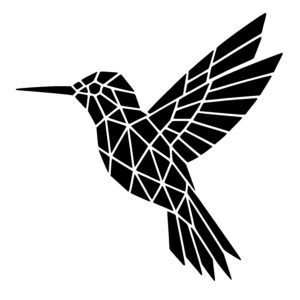 Triangular Hummingbird Soar