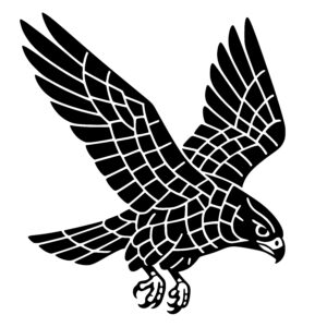 Focused Hawk Flight