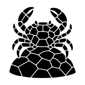 Rocky Crab Pose