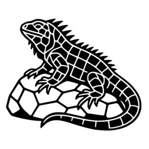 Rocky Lizard Pose