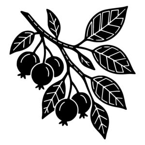 Bountiful Berry Cluster