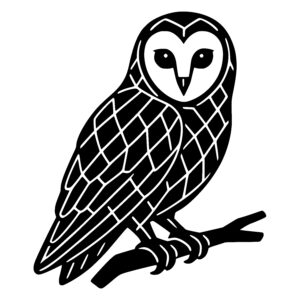 Geometric Owl Watcher