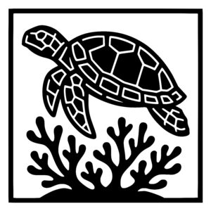 Turtle Coral Adventure