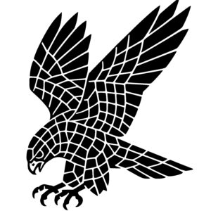 Geometric Hawk in Flight