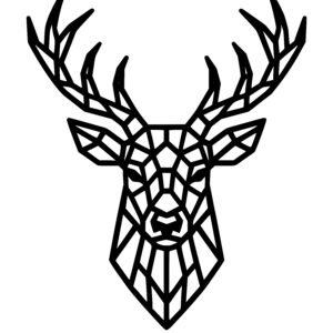 Symmetrical Stag Portrait