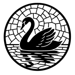 Swan in Stillness