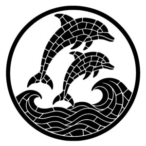 Dolphin Wave Dance