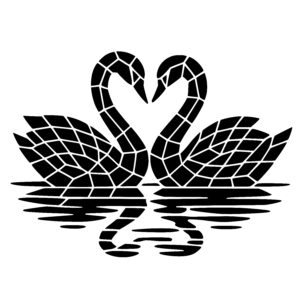 Swan Love Connection
