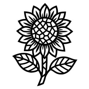 Sunflower Structure