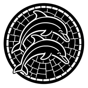 Dolphin Dance Circle