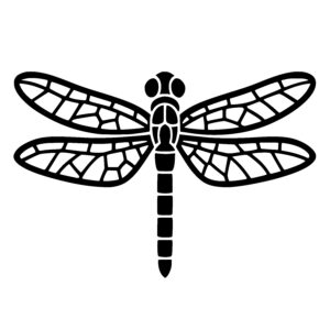 Symmetrical Dragonfly Wings