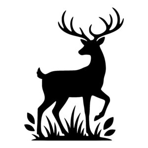 Alert Deer in Grass