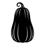 Squash Silhouette