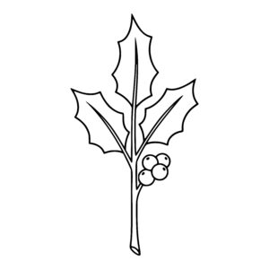 Holly Branch with Berries