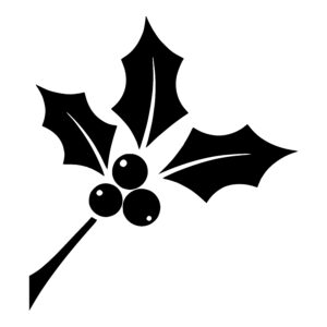 Holly Cluster Branch