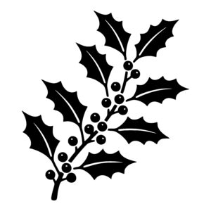 Winter Holly Sprig