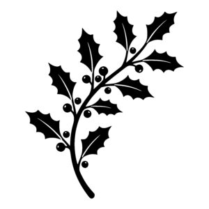 Curved Holly Branch