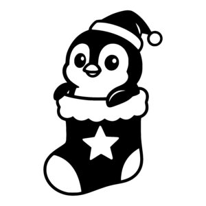 Penguin in a Stocking