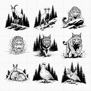 138-gallery-4.jpg