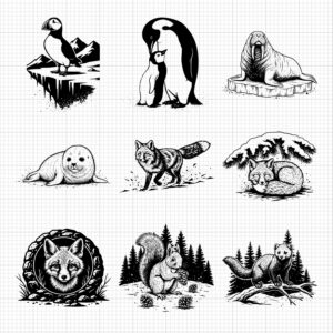 138-gallery-5.jpg