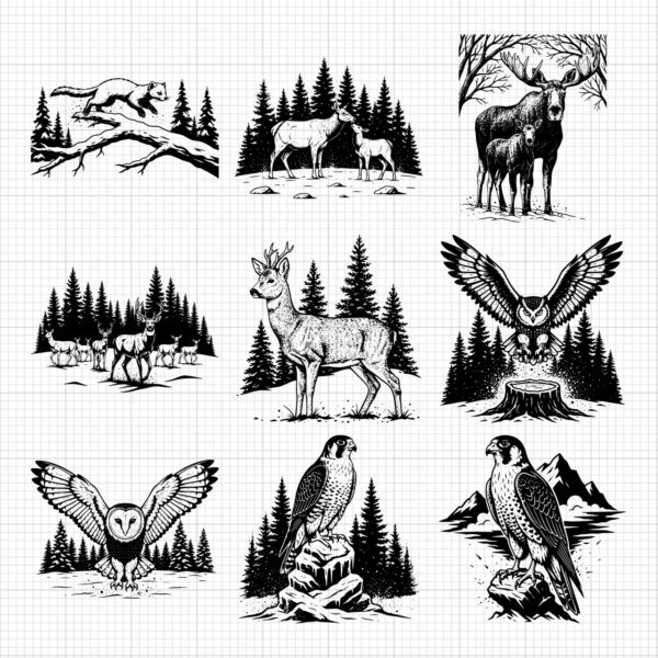 138-gallery-6.jpg