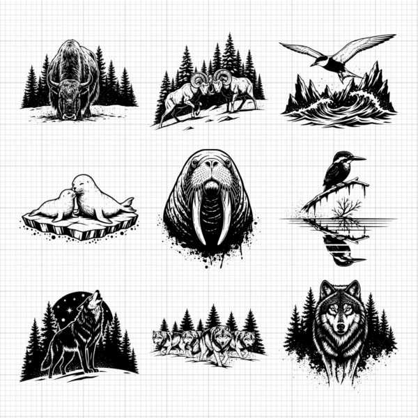138-gallery-9.jpg