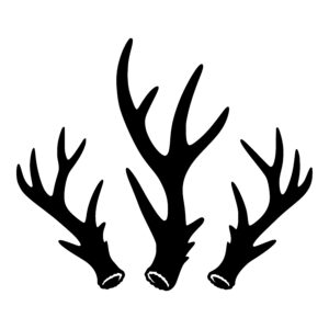 Northwoods Antler Trio